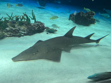 サンシャイン水族館に投稿された画像（2026/5/4）