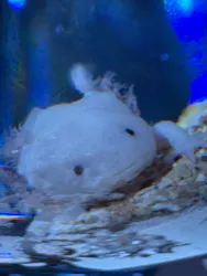 ひらかたパークに投稿された画像（2026/5/4）