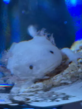 ひらかたパークに投稿された画像（2026/5/4）