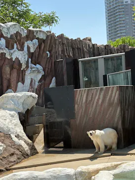 恩賜上野動物園に投稿された画像（2026/5/4）