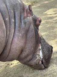東武動物公園に投稿された画像（2026/5/4）
