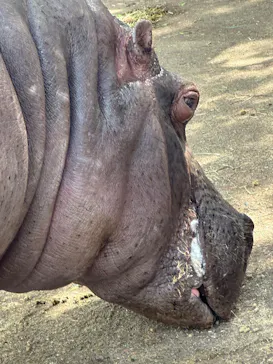 東武動物公園に投稿された画像（2026/5/4）