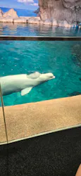 名古屋港水族館に投稿された画像（2026/5/4）