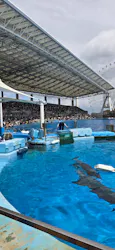 名古屋港水族館に投稿された画像（2026/5/4）