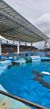 名古屋港水族館に投稿された画像（2026/5/4）