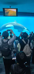 名古屋港水族館に投稿された画像（2026/5/4）