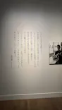 生誕100年　森英恵 ヴァイタル・タイプに投稿された画像（2026/5/5）