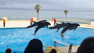 マリンワールド海の中道に投稿された画像（2026/5/4）