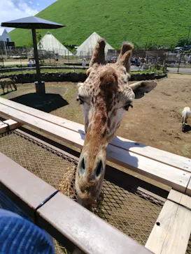 伊豆シャボテン動物公園に投稿された画像（2026/5/4）