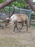 秋田市大森山動物園に投稿された画像（2026/5/5）