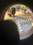 鹿児島市平川動物公園に投稿された画像（2026/5/5）
