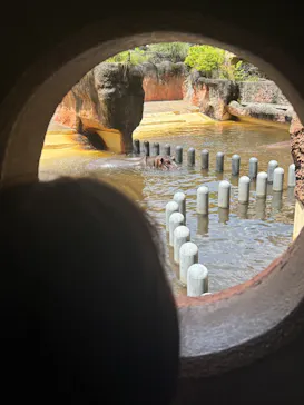 鹿児島市平川動物公園に投稿された画像（2026/5/4）