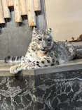 いしかわ動物園に投稿された画像（2026/5/5）