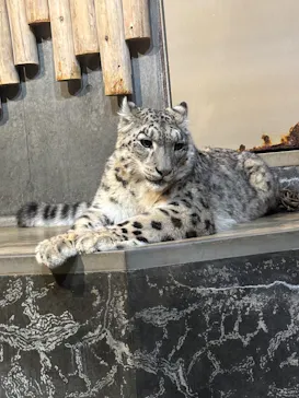 いしかわ動物園に投稿された画像（2026/5/4）