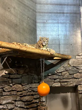 いしかわ動物園に投稿された画像（2026/5/4）