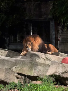 いしかわ動物園に投稿された画像（2026/5/4）