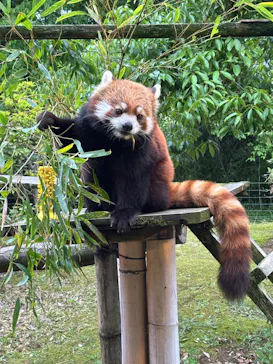 いしかわ動物園に投稿された画像（2026/5/4）