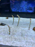すみだ水族館に投稿された画像（2026/5/5）
