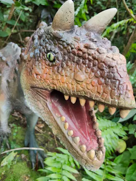 御菓子御殿　名護店　やんばる亜熱帯の森DINO恐竜PARKに投稿された画像（2026/5/4）