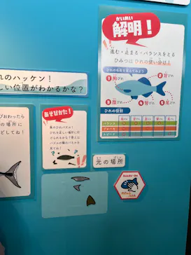 栃木県なかがわ水遊園に投稿された画像（2026/5/4）