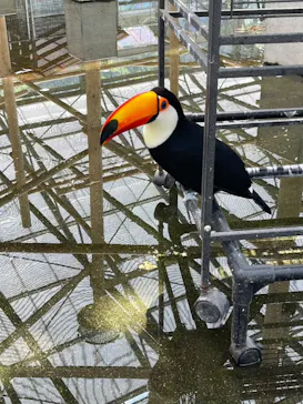 掛川花鳥園に投稿された画像（2026/5/4）