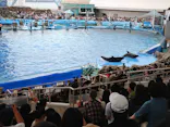 名古屋港水族館に投稿された画像（2026/5/5）