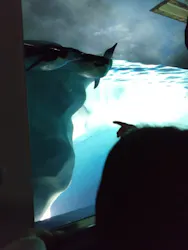 名古屋港水族館に投稿された画像（2026/5/4）