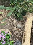 体感型動物園iZooに投稿された画像（2026/5/5）