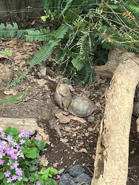 体感型動物園iZooに投稿された画像（2026/5/4）