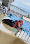 マリンワールド海の中道に投稿された画像（2026/5/5）