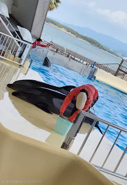 マリンワールド海の中道に投稿された画像（2026/5/4）