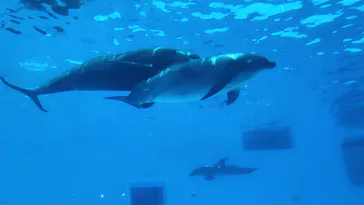マリンワールド海の中道に投稿された画像（2026/5/4）