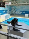 東北サファリパークに投稿された画像（2026/5/5）