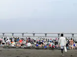 金田みたて海岸潮干狩り場に投稿された画像（2026/5/5）