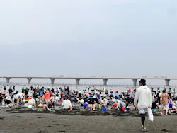 金田みたて海岸潮干狩り場に投稿された画像（2026/5/4）
