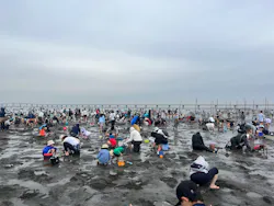 金田みたて海岸潮干狩り場に投稿された画像（2026/5/4）