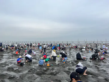 金田みたて海岸潮干狩り場に投稿された画像（2026/5/4）