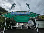 下田海中水族館に投稿された画像（2026/5/5）