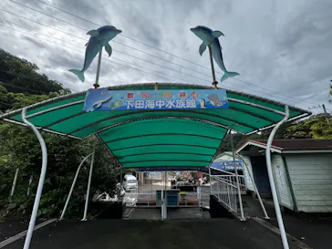 下田海中水族館に投稿された画像（2026/5/5）