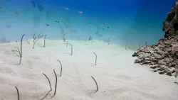 アクアワールド茨城県大洗水族館に投稿された画像（2026/5/5）