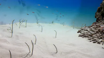 アクアワールド茨城県大洗水族館に投稿された画像（2026/5/5）
