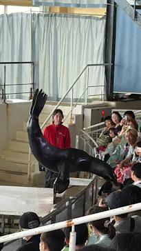 アクアワールド茨城県大洗水族館に投稿された画像（2026/5/5）
