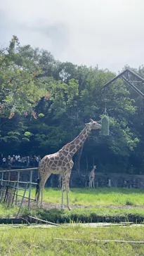 名古屋市東山動植物園に投稿された画像（2026/5/5）