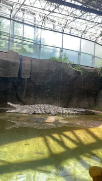 名古屋市東山動植物園に投稿された画像（2026/5/5）
