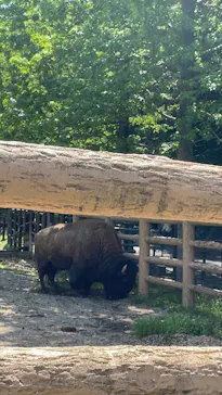 名古屋市東山動植物園に投稿された画像（2026/5/5）
