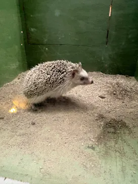 群馬サファリパークに投稿された画像（2026/5/5）