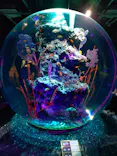 AQUARIUM × ART　atoa×神戸ポートタワーに投稿された画像（2026/5/5）
