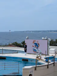 沖縄美ら海水族館に投稿された画像（2026/5/5）