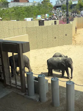 天王寺動物園に投稿された画像（2026/5/5）