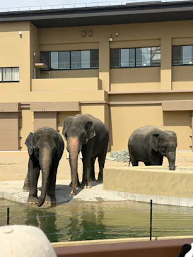 天王寺動物園に投稿された画像（2026/5/5）